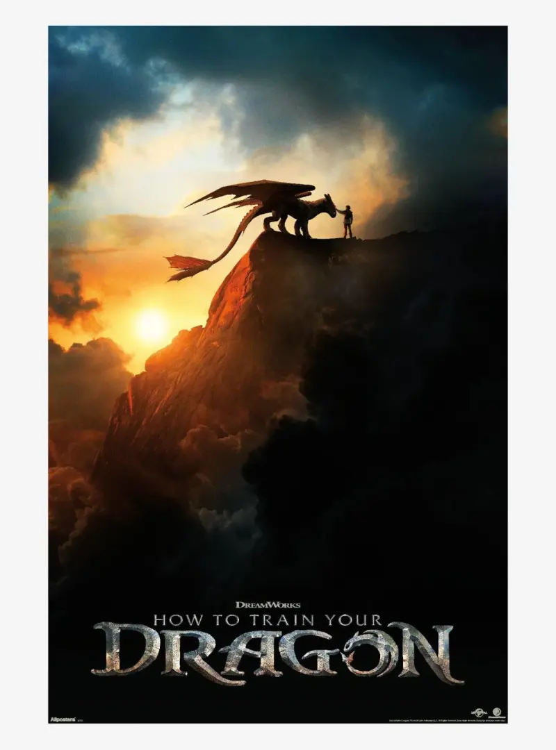 The How to Train Your Dragon poster used to advertise the movie night