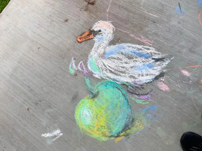 A chalk drawing of a duck perched on a green and yellow ball, shaded in soft pastel colours