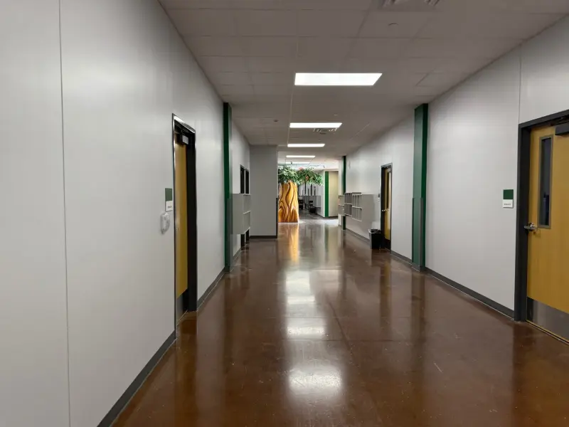 A polished, empty corridor lit by skylights, the wooden sculpture in the atrium visible at the far end